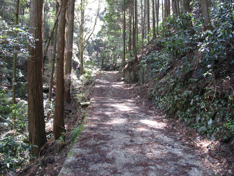 20140419hike (38)